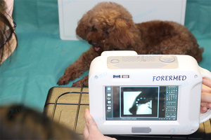 Macchina Radiografica Veterinaria Portatile a Batteria, Apparecchiatura <span class=keywords><strong>DR</strong></span> per Radiografie di Animali Domestici - Product Image 3