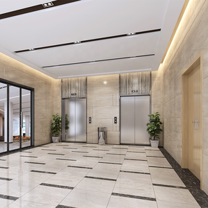 गर्म बिक्री लिफ्ट लिफ्ट लिफ्ट लिफ्ट लिफ्ट लिफ्ट 8 यात्री लिफ्ट - Product Image 2