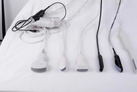 Échographe vétérinaire portable certifié CE pour chats et chiens, facile à utiliser, appareil d'imagerie diagnostique et de test de grossesse