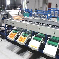 500Kg 380V Fruit & Groente Sorteermachine Voor Landbouwbedrijven 304 Roestvrijstalen Zilveren Grotere Houten Kist