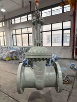 Válvula de Compuerta de Acero Inoxidable de Alta Resistencia 316L de 12 Pulgadas Clase 300 con Brida RTJ y Vástago Ascendente Atornillado