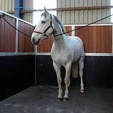 Tapis de sol en caoutchouc stable pour chevaux/équidés/vaches/bovins/porcs/animaux - Product Image 4