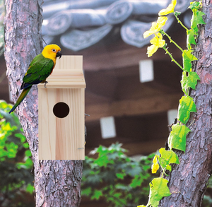 Nichoir à oiseaux en bois non fini pour l'extérieur, artisanat pour enfants, liquidation - Product Image 6