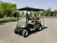 Voiturette de golf électrique 4 places, 60V 100AH, batterie au plomb, autonomie 80KM, directement de l'usine, pour parcours de golf, en stock