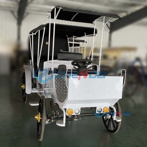 Black Sunshade Electric <b>Double</b>-row Sightseeing Carriage/leisure Sightseeing Carriage Sells Well - Product Image 2