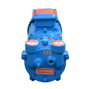 Compresor Industrial BOYUAN Serie 2BV 0.81Kw/1.09Hp, Bomba de Vacío de Anillo Líquido 2BV2060 de Alta Eficiencia para Alimentos (OEM) - Product Image 5