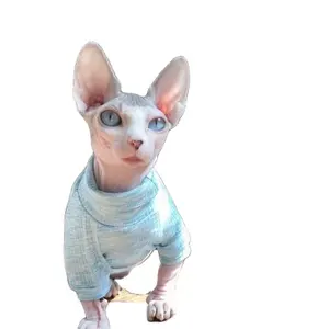 Benutzer definierte haarlose Katze Kleidung Sphinx Katze Roll kragen pullover Großhandel Baumwolle T-Shirt Haustier bedarf