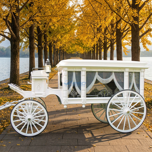 Cercueil funéraire de luxe classique à structure en acier, traîné par des chevaux, avec pneus pleins pour cérémonie funéraire - Product Image 1