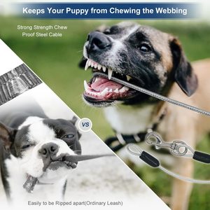 Correa Retráctil para Perros Elecpet, Resistente, con Linterna LED Recargable, para Perros Pequeños y Medianos, con Bloqueo de un Botón, 5 Metros - Product Image 3