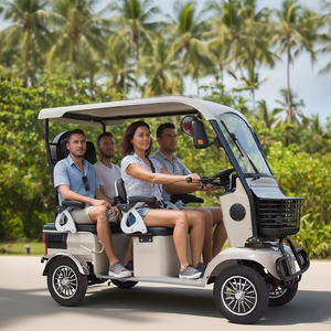 Carrito de Golf de 4 ruedas de gran valor Holladay, asientos de tela de cuero, patinete eléctrico, protección contra el viento, carrito de Golf de vidrio transparente - Product Image 4