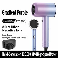 Sèche-cheveux ionique à moteur DC haute puissance 1200W, contrôle de température constante haute vitesse, buse à jet unique pour salon et usage domestique
