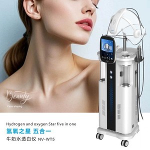 Hydrogen Oxygen Star Five In One Milk Water Whitening Device NV WT5 Facial Mist Sprayer - Product Image 1