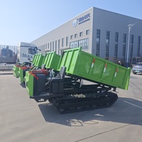 Mini-dumper chenillé 4x4 automatique Euro 5 de 2 tonnes avec direction à droite, nouveau moteur diesel et levage hydraulique