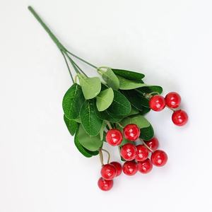 Fruit de noël rouge jaune r fruit sauvage rouge baies fleur de myrtille - Product Image 3