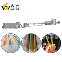 Machine automatique de fabrication de pailles à boire en riz comestible, ligne de production d'extrusion de pailles en tapioca biodégradable