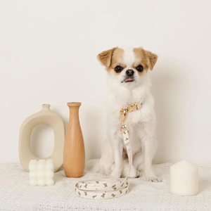 Collar para Perro Personalizado con Estampado de Oso, Grabado de Nombre en Beige, Hebilla Dorada Ajustable, Tela de Poliéster y Algodón, Suave, Antitirones - Product Image 6