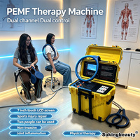 Appareil de thérapie PEMF pour le soulagement de la douleur humaine et les soins de santé animale, équipement de physiothérapie