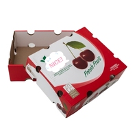Op maat gemaakte hoogwaardige verpakkingen van karton voor verse aardbeien, kersen en fruitthee, met aangepaste logo-druk