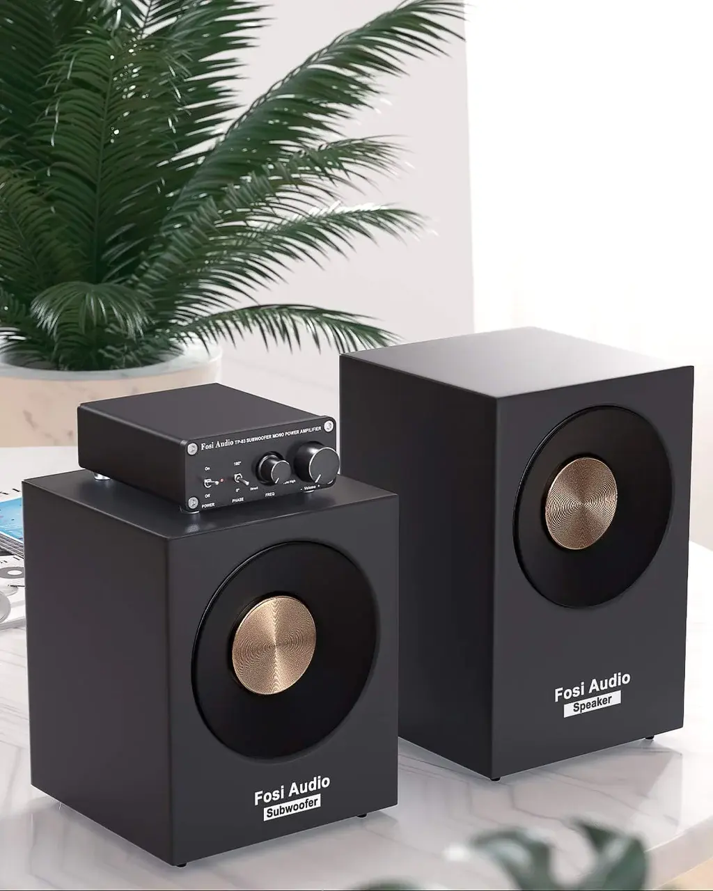 Fosi Audio TP-03 مضخم صوت ومونو أمبير كامل التردد ومضخم صوت يمكن تحويل الصوت إليه 220 واط