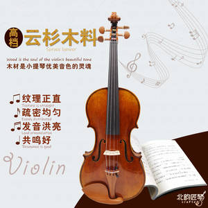 Violon d'étude CHENTUO CT2.6 pour débutant, table en épicéa massif, flancs en érable, touche en ébène, contreplaqué en fibre de carbone, 4 cordes, étui en bois - Product Image 5