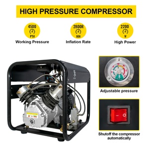Compressore d'aria per immersioni subacquee PCP TUXING all'ingrosso ODM OEM con <span class=keywords><strong>spurgo</strong></span> automatico 110V 220V 4500psi 300bar 30MPA e arresto automatico regolabile - Product Image 4
