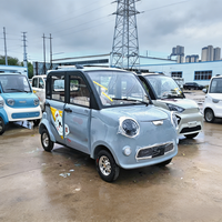 Mini-tricycle électrique à 4 portes entièrement fermé, cabine fermée, pour passagers, idéal pour les trajets quotidiens des aînés et des familles, et les courses.