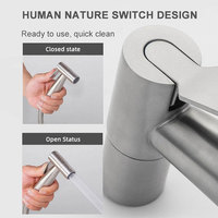 Robinet Lave-Mains Shattaf Pas Cher, Douchette Sanitaire Musulman en Acier Inoxydable, Acheter un Pulvérisateur de Jet Bidet pour Toilettes