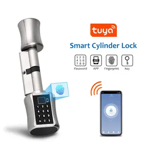 Tuya Aplikasi Seluler Pintar Aplikasi WIFI Pemindai Sidik Jari Biometrik Kunci Pintu Kunci Tanpa Kunci
