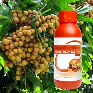 O Melhor e Mais Barato Fertilizante Orgânico Bio para Longan Fruit Tree e Solo na Ásia e África