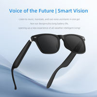 Casque d'écoute sans fil unisexe dans plus de 100 langues Lunettes de traduction intelligentes AI Lunettes intelligentes Bluetooth avec chargement magnétique
