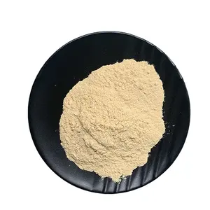 Puerarin Powder Manufacturer Supply Organic Pueraria Lobata Extract Powder