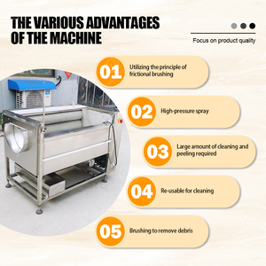 Machine industrielle automatique <span class=keywords><strong>de</strong></span> lavage et <span class=keywords><strong>de</strong></span> pelage <span class=keywords><strong>de</strong></span> manioc, machine <span class=keywords><strong>de</strong></span> nettoyage et <span class=keywords><strong>de</strong></span> pelage <span class=keywords><strong>de</strong></span> patates douces, machine <span class=keywords><strong>de</strong></span> lavage et <span class=keywords><strong>de</strong></span> pelage - Product Image 5