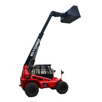 Telehandler telescopico del caricatore della ruota dell'asta anteriore della mini fattoria e costruzione della cina