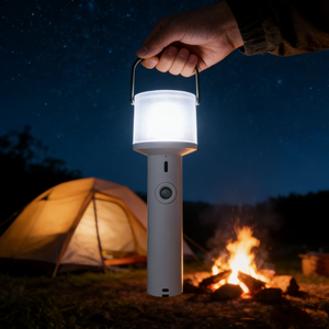 Lampe LED <span class=keywords><strong>à</strong></span> 360 degrés alimentée par batterie, en ABS, avec détecteur de mouvement, lumière de nuit LED activée par capteur de mouvement, pour la maison, la chambre <span class=keywords><strong>à</strong></span> coucher, lumières de nuit <span class=keywords><strong>à</strong></span> induction humaine - Product Image 1