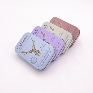 OEM ODM manufacture tin can case metal box packaging with hinged lid small wholesale Custom tin box