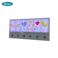 Environnement multisensoriel, stimulation olfactive, panneau lumineux LED aromatique, thérapie d'intégration sensorielle, panneau mural aromatique interactif