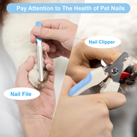 Nouveauté : Kit de toilettage portable 7-en-1 en acier inoxydable pour animaux domestiques – Brosse de démêlage, coupe-ongles, lime à ongles pour chiens et chats
