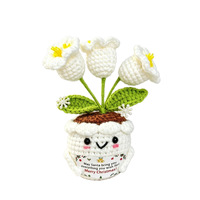 BH Décoration de bureau intérieure transfrontalière écologique de haute qualité, en fil de laine au crochet, pour poupées et plantes en pot, thème Noël et Thanksgiving
