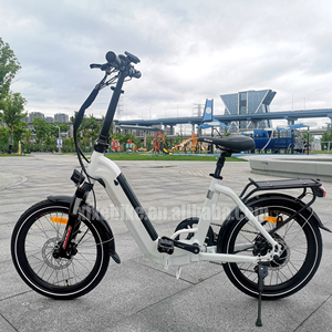 Bicicleta <span class=keywords><strong>plegable</strong></span> eléctrica de 20 pulgadas 48V 500W 10Ah Batería oculta Step Thru <span class=keywords><strong>Ebike</strong></span> <span class=keywords><strong>plegable</strong></span> para viajeros - Product Image 6