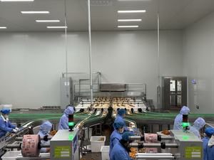 <span class=keywords><strong>Nouilles</strong></span> croustillantes au fromage et au goût de dinde, à base de farine de blé, pour un repas rapide et décontracté au bureau ou en loisirs - Product Image 4