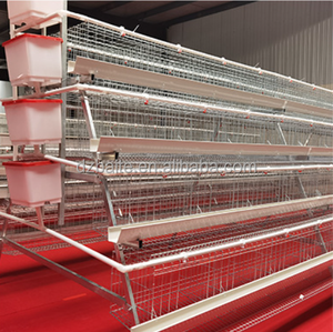 Nuova condizione BT marca 3-strati in acciaio zincato a strato di pollame gabbia controllo accurato della temperatura per pollo allevamento batteria - Product Image 6