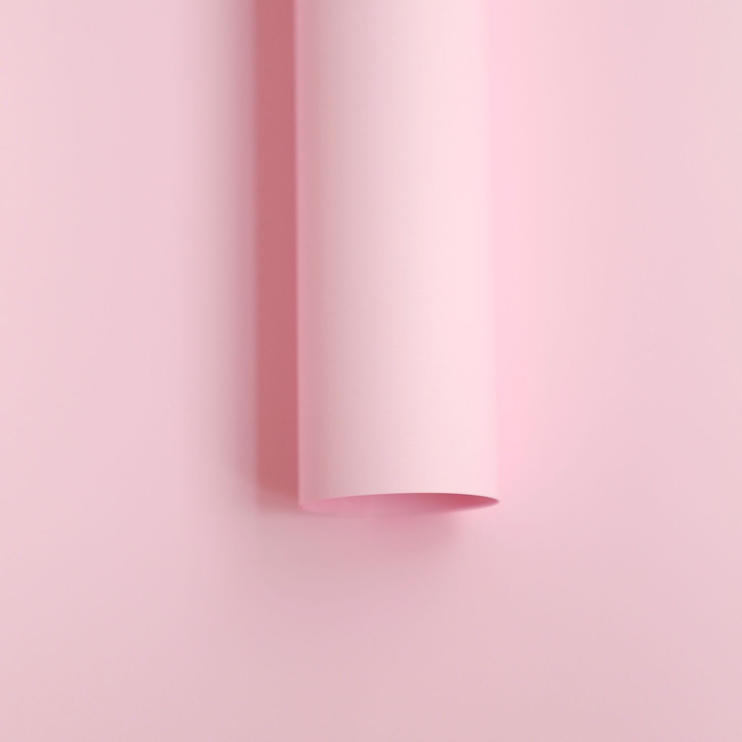 4-rose