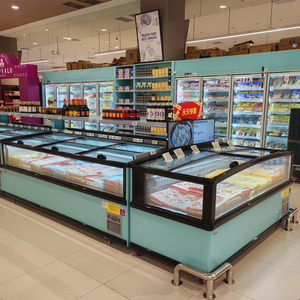 Congelatore orizzontale commerciale per esposizione e conservazione di alimenti surgelati, raffreddamento diretto, illuminazione a LED, porta scorrevole in vetro, digitale - Product Image 3