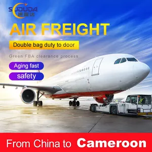China Goedkoopste Ddp Ddu Deur Tot Deur Service Luchtvracht Expediteur China Naar Kameroen Expediteur