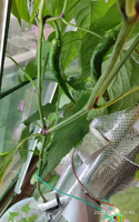 Tour de plantation aéroponique verticale avec pompe, système hydroponique de culture de légumes sans terre à 9 niveaux