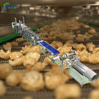 Ligne de production de frites de peau de porc personnalisée Shepody 500kg/h 1000kg/h Machine à frire les craquelins de peau de porc à haute température