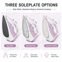 Fer à vapeur vertical portable professionnel sans fil haute puissance avec semelle en céramique, couleur OEM, nouveau modèle moderne pour usage domestique et hôtelier