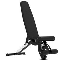 Chaise d'haltères réglable professionnelle, équipement de musculation robuste, banc abdominal, appareil de musculation pour le bodybuilding