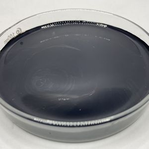 Giá Ống Nano Carbon đa năng phân tán Ống Nano Carbon tương thích sinh học để xử lý vật liệu sinh học - Product Image 6