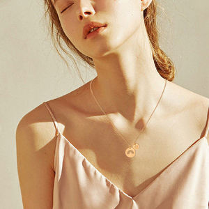 Collier personnalisé avec imprimé commémoratif de patte de chien, pendentif de charme de poème de pont d'arc-en-ciel pour femmes et filles, cadeau de bijoux - Product Image 3